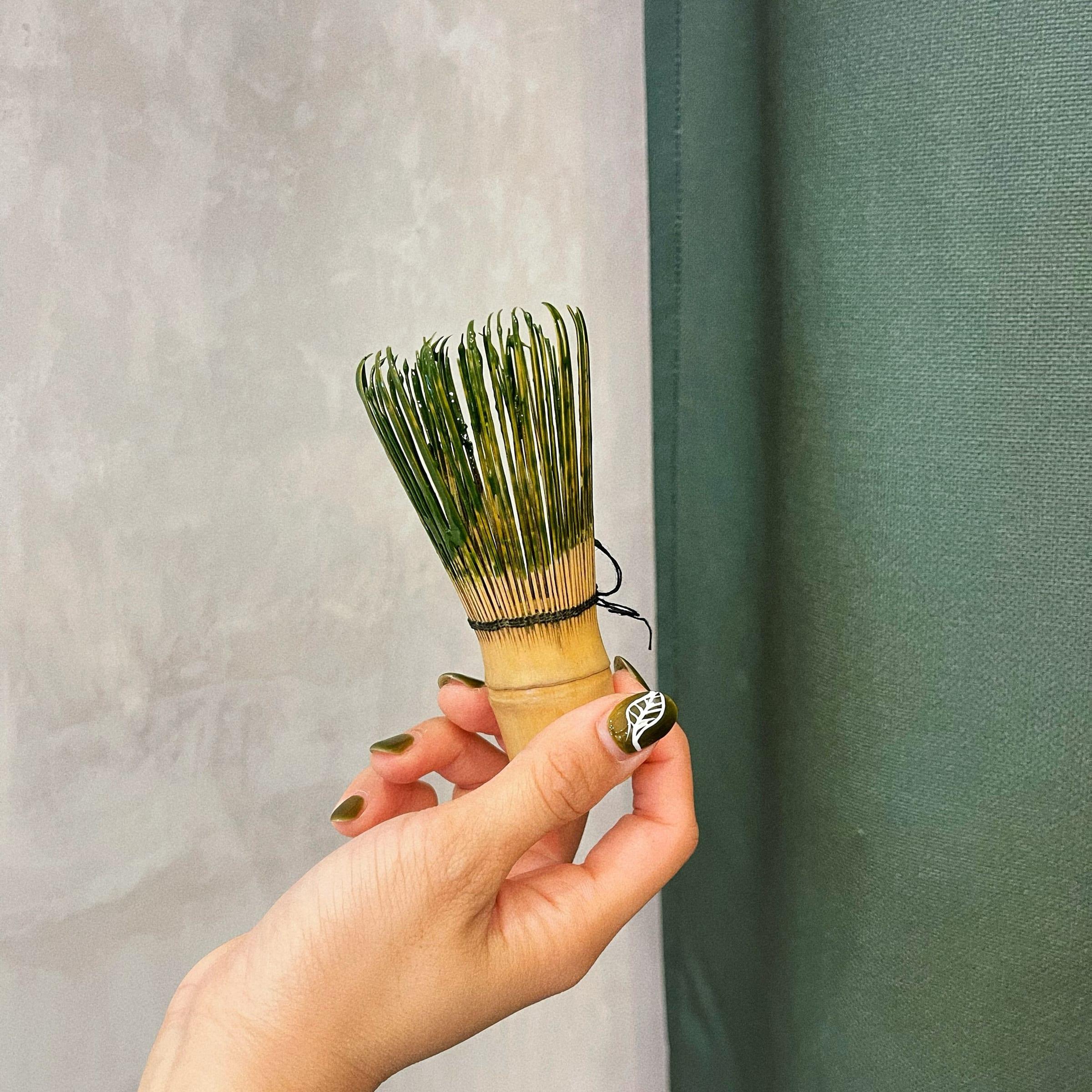 A bamboo matcha whisk held up to the wall